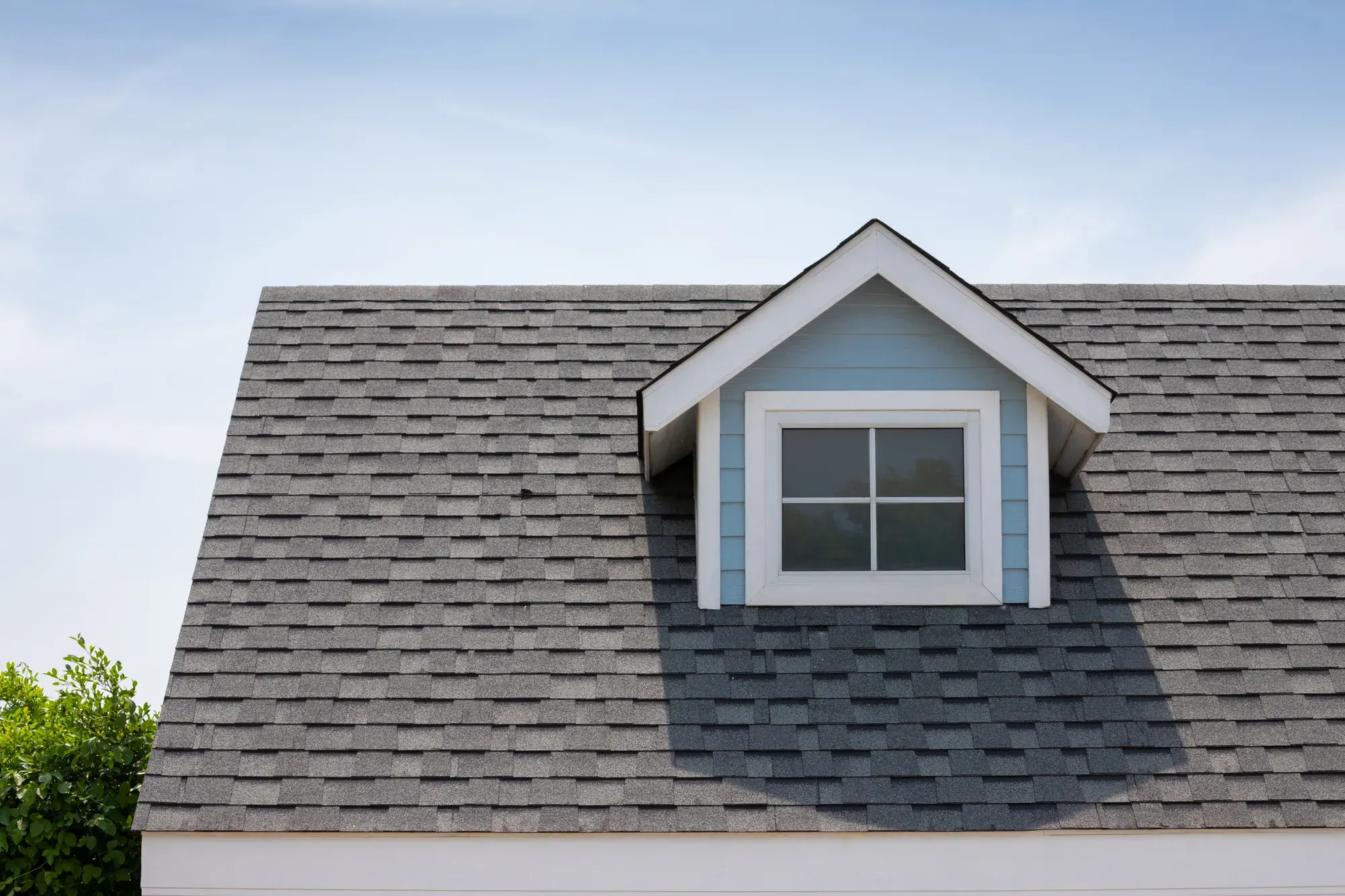 old 3-tab shingles at end of lifespan (20-25 years), photographed during an inspection