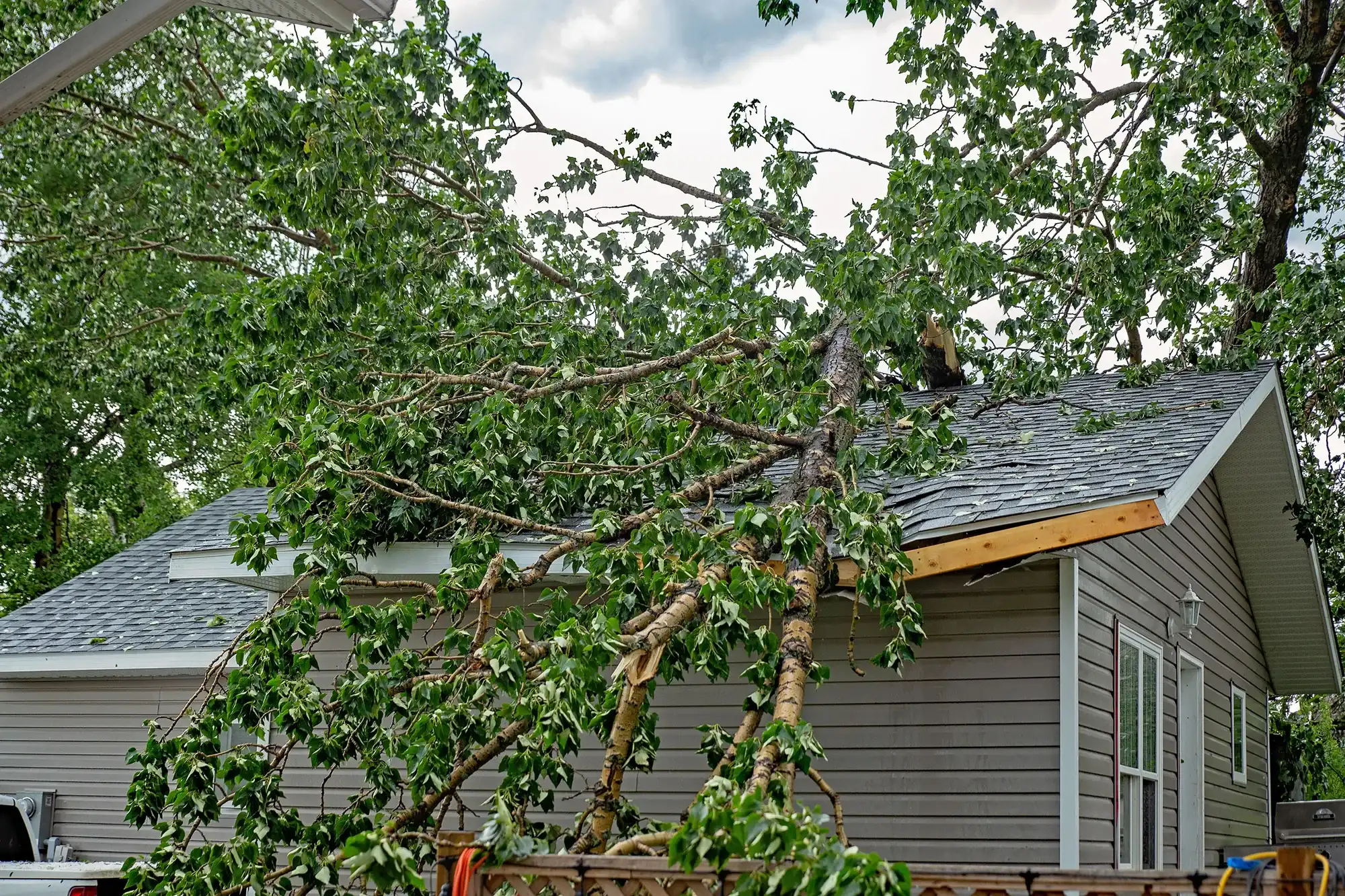 Emergency Roof Repair in central Kentucky